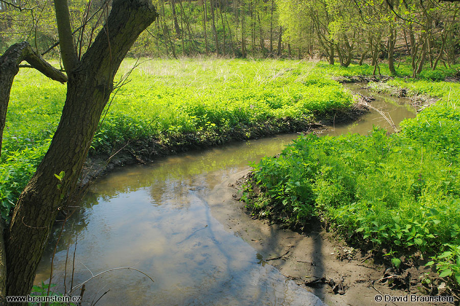 2008_0504_102919_op_cerny_potok_u_nouzova