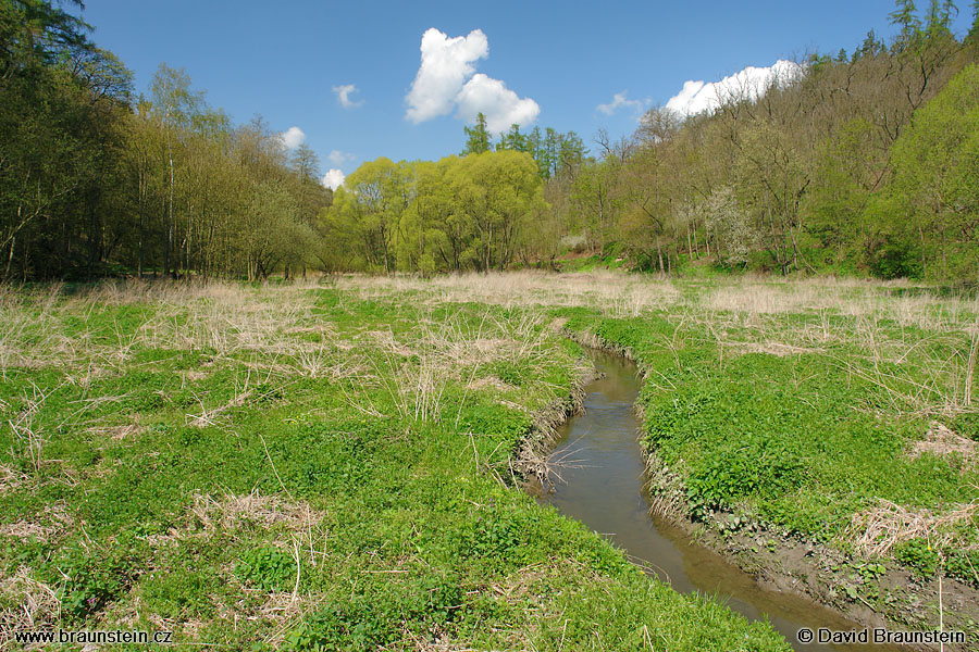 2008_0504_103433_op_cerny_potok_udoli_u_nouzova