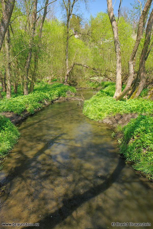 2008_0504_105719_op_lodenice_17_2_nad_markovym-bockovym_mlynem