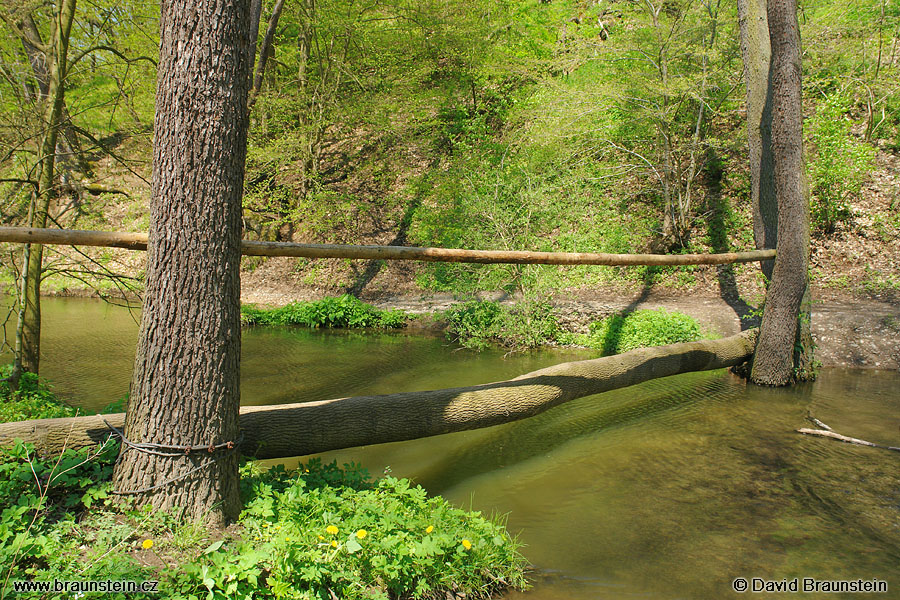 2008_0504_112836_op_lavka_pres_lodenici_15_pod_podkozim