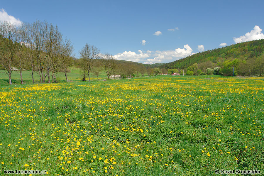 2008_0504_120129_op_louka_v_udoli_lodenice_u_kalouskova_mlyna