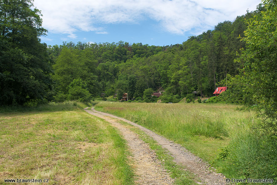 2008_0615_105508_op_udoli_kocaby_pod_bojanovicema