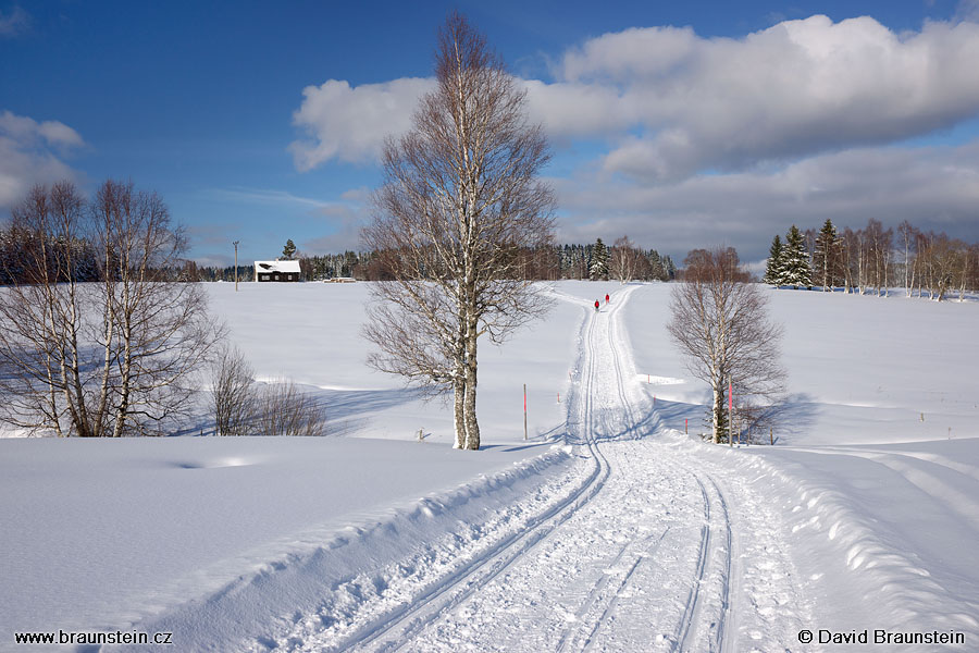 2009_0214_145139_su_krajina_u_kvildy_cesta