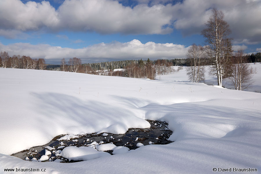 2009_0214_145751_su_krajina_u_kvildy