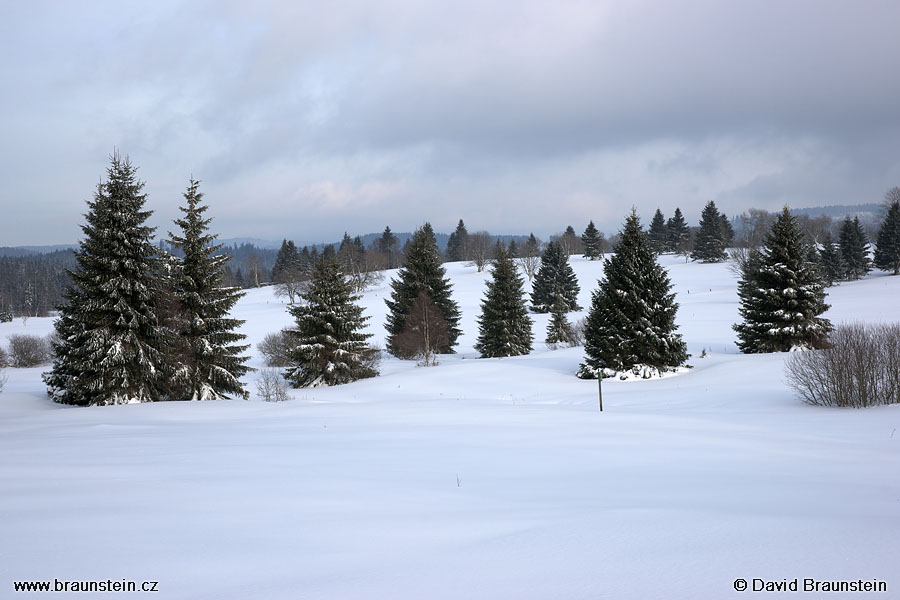 2009_0215_154903_su_krajina_u_knizecich_plani