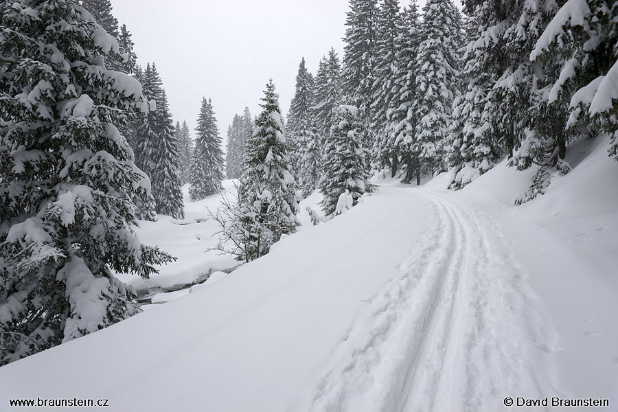 2009_0217_131620_su_cesta_u_roklanskeho_potoka