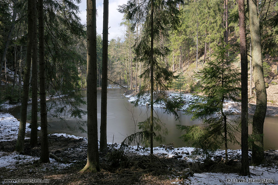 2009_0321_115557_pe_rybnik_v_lese