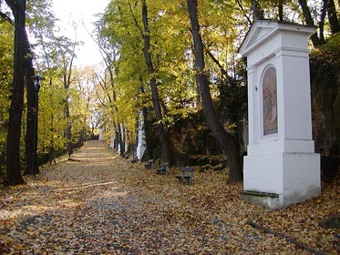 podzim na Petříně