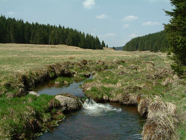 Slatinný potok nad Jelení