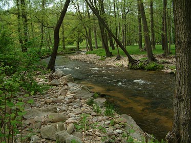 Rolava nad Starou Rolí