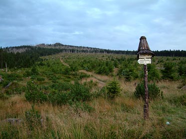 cesta na Jizeru