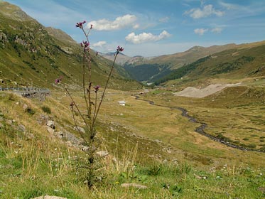 krajina u Fluelapass