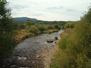 Křemelná nad mostem u Prášil