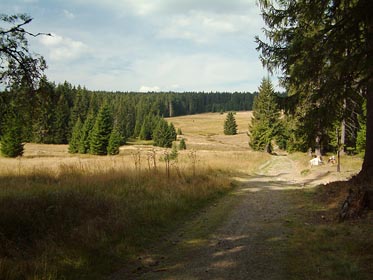 louka Zlatá studna