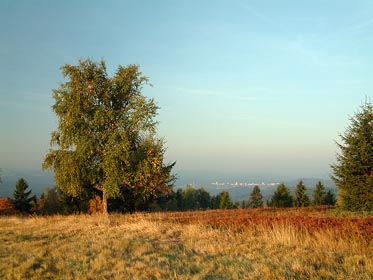 ráno na Ptačí hoře