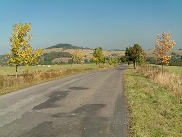 silnice, zbarvené stromy, Špičák