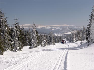 Promenádní cesta, Krkonoše, Bukovec