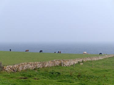pastvina u moře