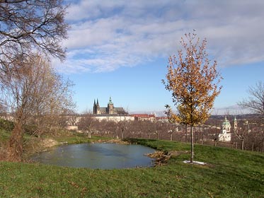 Pražský hrad z Petřína, jezírko