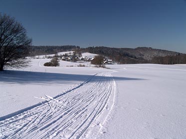 krajina u Cunkova, Javorová skála