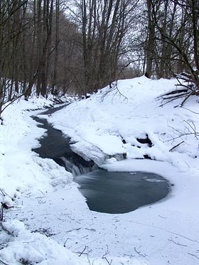 Rokytka, jezírko