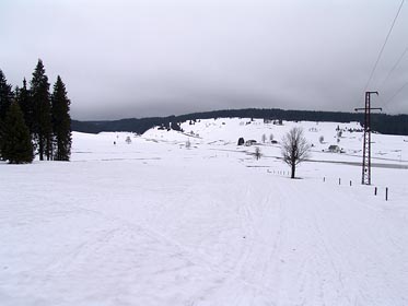 krajina u Jelení