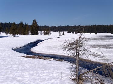 Rolava nad Rolavou