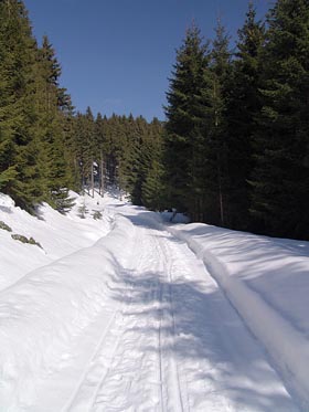 Krušnohorská lyžařská magistrala