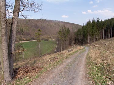 údolí Rakovnického potoka, cesta