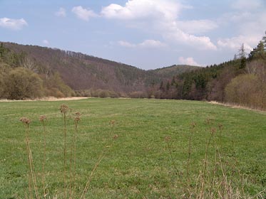 údolí Rakovnického potoka, louka