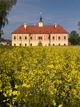 zámek ve Sloupně, řepka