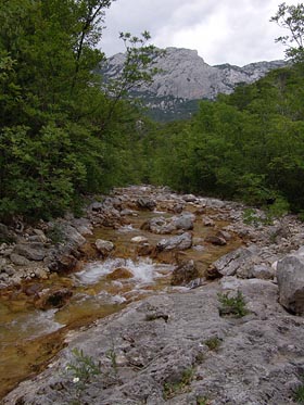 Velká Paklenica, okolí