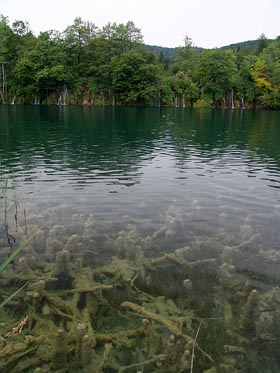 jezero, dno