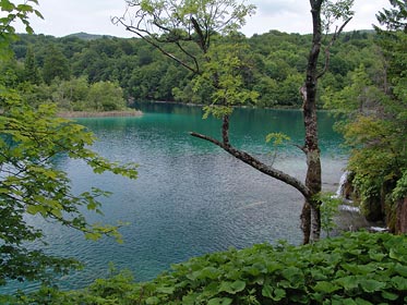 jezero