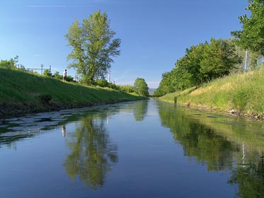 Bílina pod Bílinou