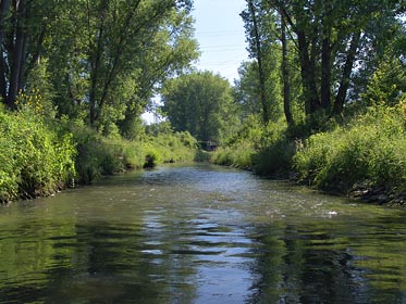 Bílina nad Světcem