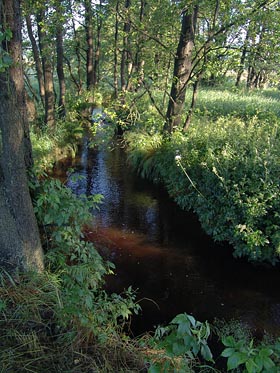 Mže nad Brankou