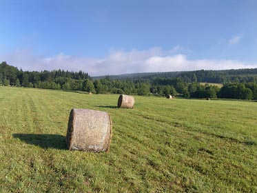 balíky, údoli Mže nad Brankou