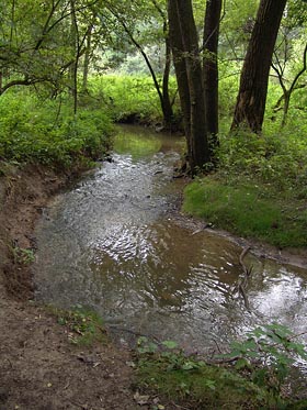 Pitkovický potok pod Pitkovicema