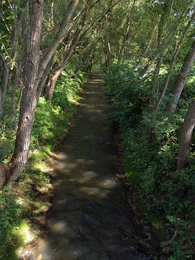 Zákolanský potok v Kralupech nad Vltavou