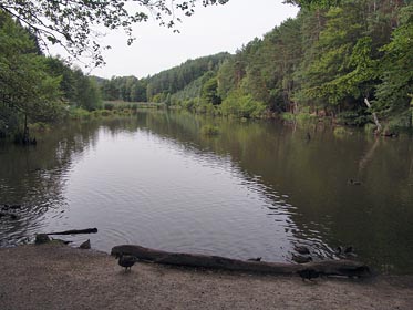 rybník pod Vojtěchovem