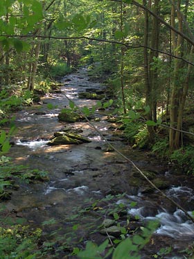 Olešnice nad Peklem