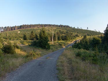 cesta, Tetřevec