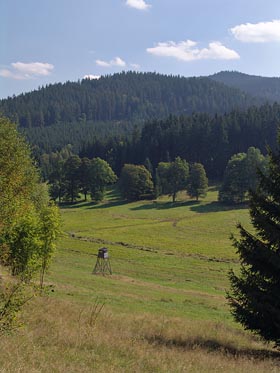 krajina u bývalé Stříbrné hutě