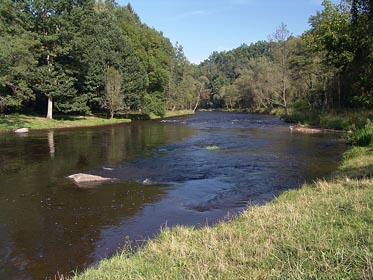 Vltava u Mýta