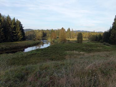 okolí Vltavy u Smolné Pece