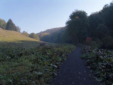 Oparenské údolí, cesta