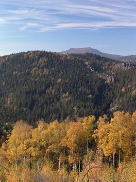 zbarvené stromy, Hvozd