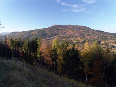 Hvozd ze svahu Sokola