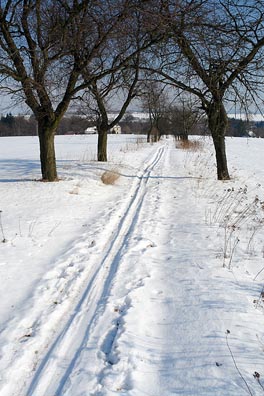 běžecká stopa